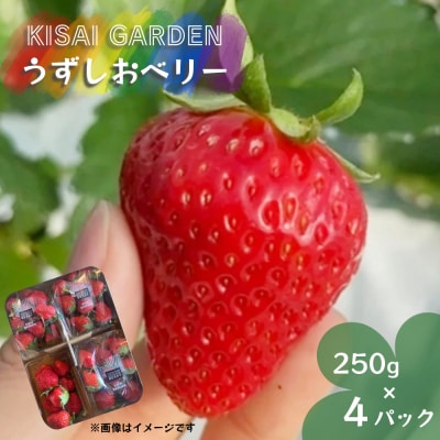 【先行受付中・2026年1月頃より順次発送】KISAI BERRY 250g×4パック