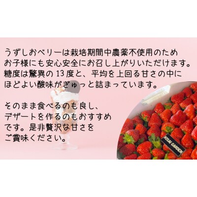 【先行受付2024年12月頃より順次発送】うずしおベリー 250g×4パック