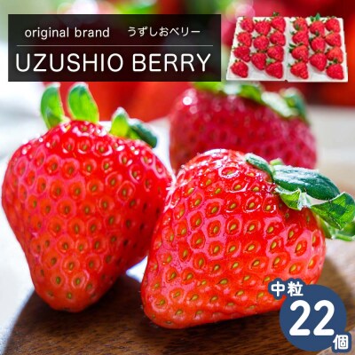 フルーツガーデンやまがたいちご「うずしおベリー」中粒22個