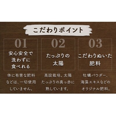 【先行受付2025年2月頃より順次発送】フルーツガーデンやまがたいちご「うずしおベリー」中粒22個