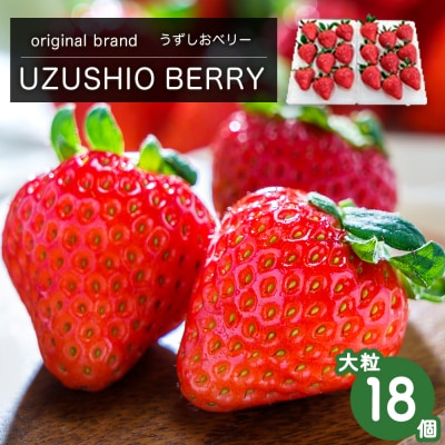 フルーツガーデンやまがたいちご「うずしおベリー」大粒18個