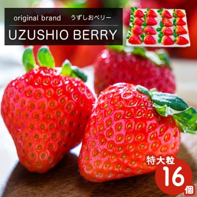 フルーツガーデンやまがたいちご「うずしおベリー」特大粒16個
