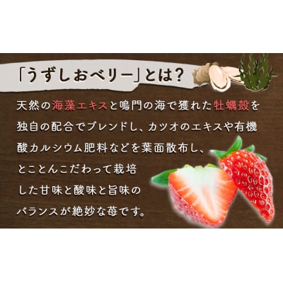 【先行受付12月中旬頃より順次発送】フルーツガーデンやまがたいちご「うずしおベリー」特大粒16個