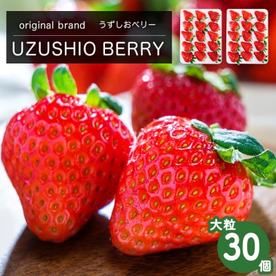 フルーツガーデンやまがたいちご「うずしおベリー」大粒30個