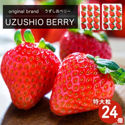 フルーツガーデンやまがたいちご「うずしおベリー」特大粒24個