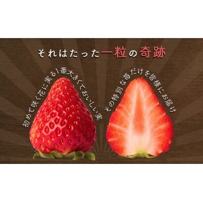【先行受付2025年2月より順次発送】フルーツガーデンやまがたいちご「うずしおベリー」特大粒24個