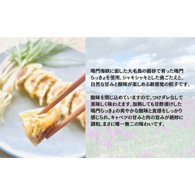 鳴門らっきょ餃子(10個入箱)×3箱セット