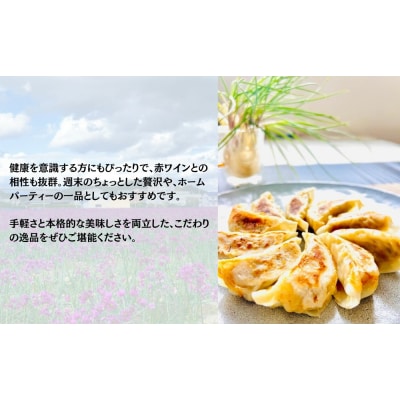 鳴門らっきょ餃子(10個入箱)×3箱セット