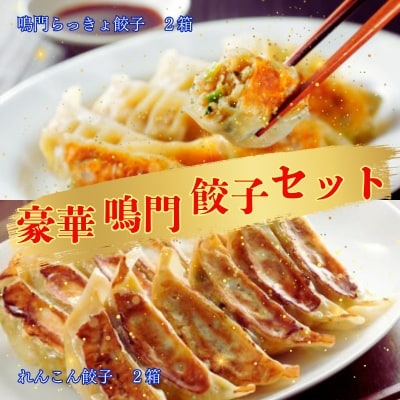 豪華鳴門餃子セット