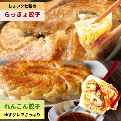 豪華鳴門餃子セット
