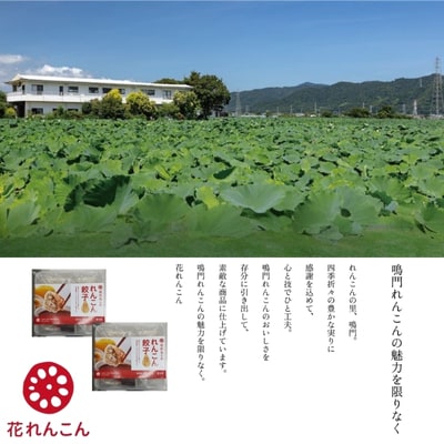 豪華鳴門餃子セット