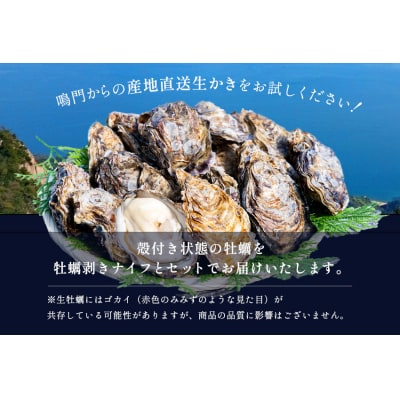 牡蠣 渦潮チャンピオン120g～150g 10個