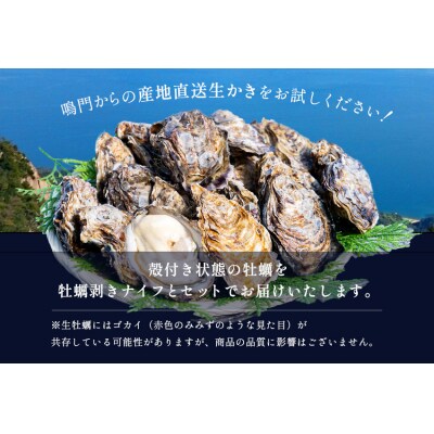 【先行受付中・2026年11月下旬頃より順次発送】牡蠣 渦潮チャンピオン120g～150g 20個
