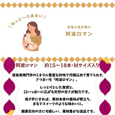 鳴門産 さつまいも 『 阿波ロマン 』 3kg 