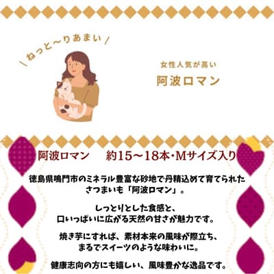 【先行受付中・2026年12月上旬頃より順次発送】鳴門産 さつまいも 『 阿波ロマン 』 3kg 