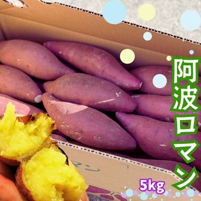 鳴門産 さつまいも 『 阿波ロマン 』 5kg 