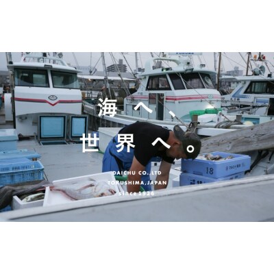 鳴門天然鯛開干し5枚・地魚開干し・詰め合わせセット