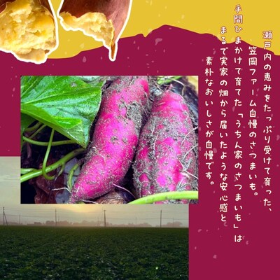 【先行受付中・2026年9月下旬頃より順次発送】【笠岡ファーム】うちん家のさつまいも　3kg