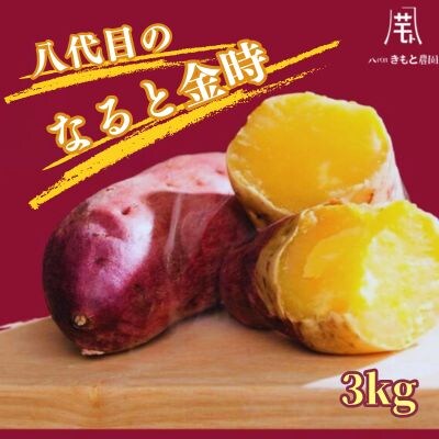 【先行受付中・2026年9月下旬頃より順次発送】八代目のなると金時