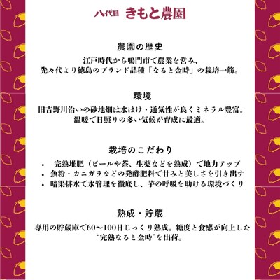 【先行受付中・2026年9月下旬頃より順次発送】八代目のなると金時