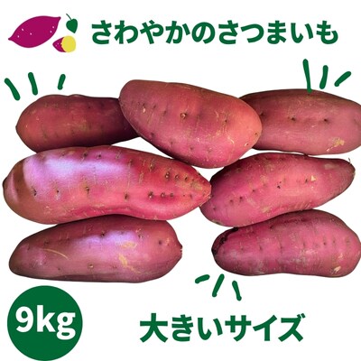 【先行受付中・2026年10月頃より順次発送】さわやかのサツマイモ 大きいサイズ　9kg