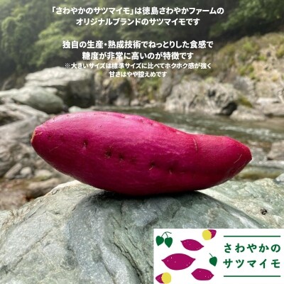 【先行受付中・2026年10月頃より順次発送】さわやかのサツマイモ 大きいサイズ　9kg