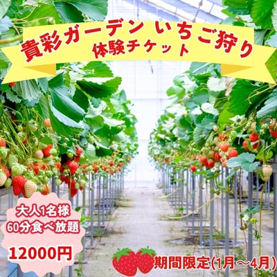 【栽培期間中農薬不使用】貴彩ガーデンいちご狩り体験チケット