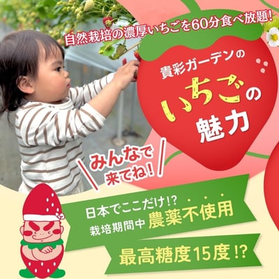【栽培期間中農薬不使用】貴彩ガーデンいちご狩り体験チケット