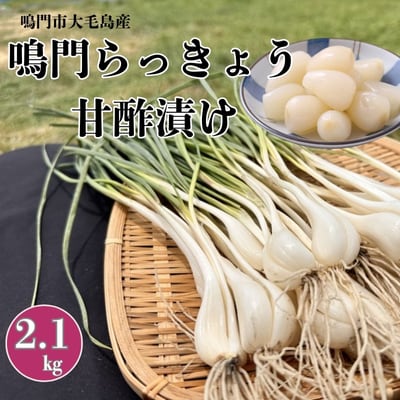 鳴門らっきょう甘酢漬け