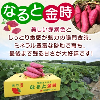【先行受付中・2026年10月頃より順次発送】「吉岡さんちのなると金時」 Lサイズ 2kg