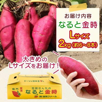 【先行受付中・2026年10月頃より順次発送】「吉岡さんちのなると金時」 Lサイズ 2kg