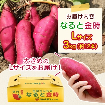 【先行受付中・2026年10月頃より順次発送】「吉岡さんちのなると金時」 Lサイズ 3kg