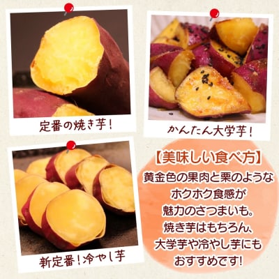 「吉岡さんちのなると金時」 Lサイズ 5kg