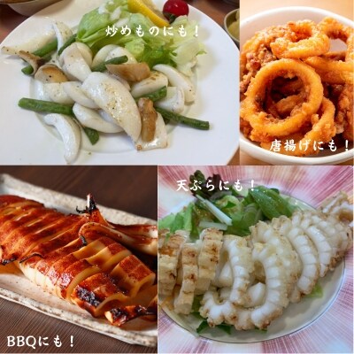 【訳アリ】アオリイカむき身(不揃い)