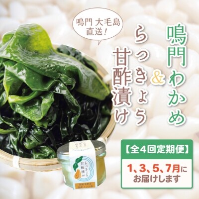 【全4回定期便】鳴門大毛島わかめ・らっきょうセット(1/3/5/7月)