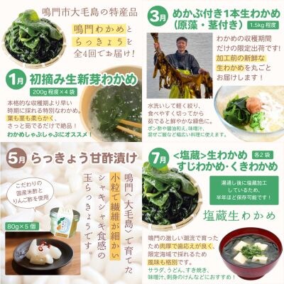 【全4回定期便】鳴門大毛島わかめ・らっきょうセット(1/3/5/7月)