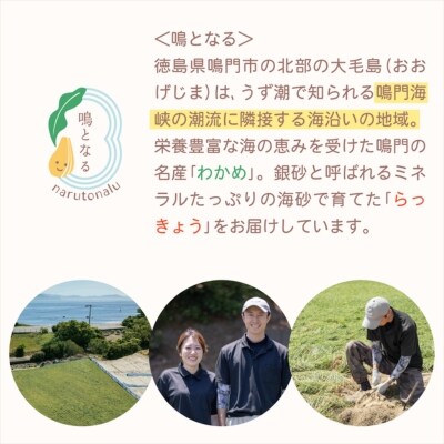 【全4回定期便】鳴門大毛島わかめ・らっきょうセット(1/3/5/7月)