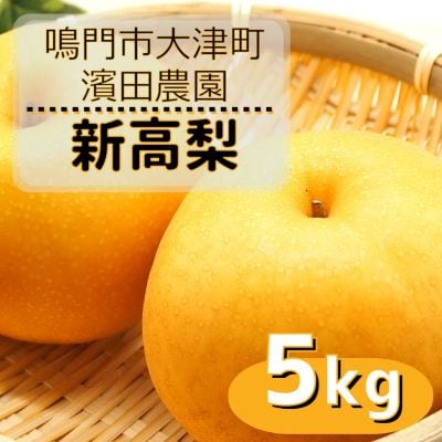 【先行受付中・9月下旬～10月上旬頃より順次発送】濱田農園 新高梨 約5kg