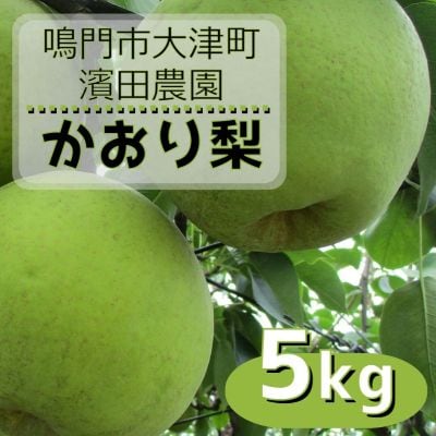 【先行受付中・9月上旬～中旬より順次発送】 濱田農園 かおり梨 約5kg