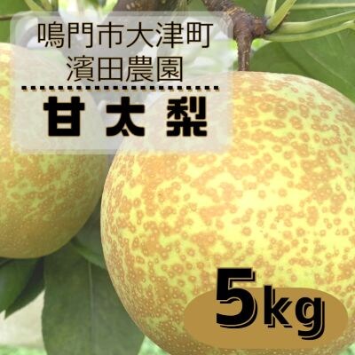 【先行受付中・10月上旬～中旬より順次発送】濱田農園 甘太梨 約5kg 
