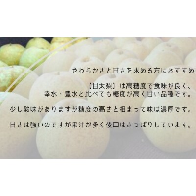 【先行受付中・10月上旬～中旬より順次発送】濱田農園 甘太梨 約5kg 