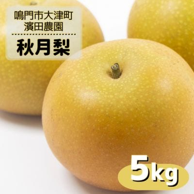 濱田農園 秋月梨 約5kg 【数量限定】