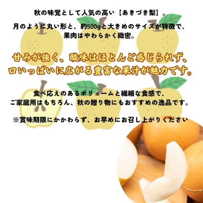 濱田農園 秋月梨 約5kg 【数量限定】