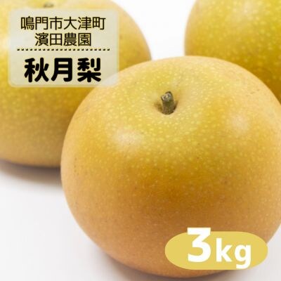 濱田農園 秋月梨 約3kg