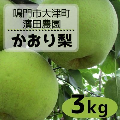 【先行受付中・9月上旬～中旬より順次発送】 濱田農園 かおり梨 約3kg 