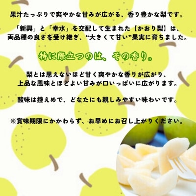 【先行受付中・9月上旬～中旬より順次発送】 濱田農園 かおり梨 約3kg 