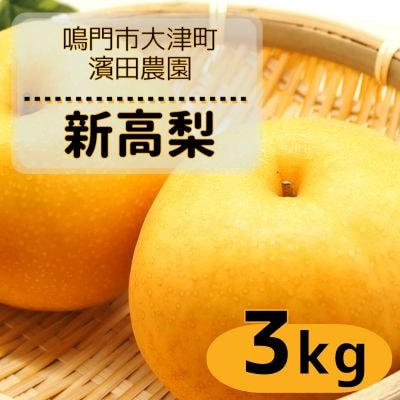 【先行受付中・9月下旬～10月上旬頃より順次発送】濱田農園 新高梨 約3kg