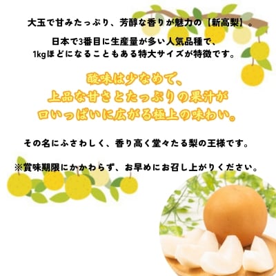 【先行受付中・9月下旬～10月上旬頃より順次発送】濱田農園 新高梨 約3kg