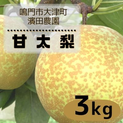 【先行受付中・10月上旬～中旬より順次発送】濱田農園 甘太梨 約3kg 