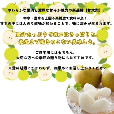【先行受付中・10月上旬～中旬より順次発送】濱田農園 甘太梨 約3kg 